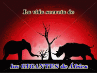 La vida secreta de los gigantes de África.