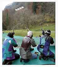 LA ARMAS DE LOS SUIZOS SEGUIRAN EN SUS CASAS.