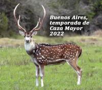 Temporada 2022 de CAZA MAYOR