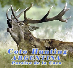 Coto Hunting